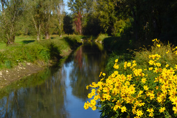 view of a countryside landscape with river and wild nature