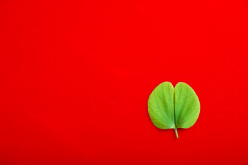Indian Festival Dussehra , green leaf and rice