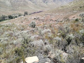 landscape in the mountains