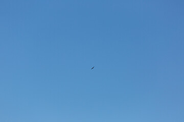 Image of a clear and cloudless sky can be used as background