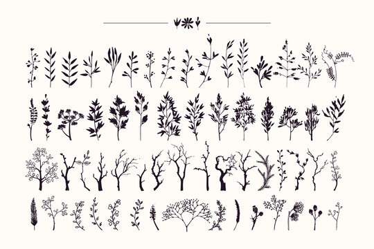 Tree branches, herbs, plants silhouettes made with ink. Hand drawn clipart illustration collection of rustic, floral design elements. Wood twigs, sticks, forest, flowers, leaves. Isolated vector set.