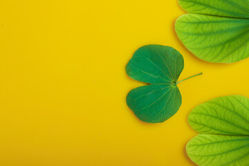 Indian Festival Dussehra , green leaf and rice