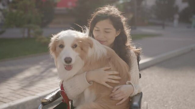 Portrait of disabled happy young woman in wheelchair with her guide dog looking at camera. Asian handicapped girl with paralysis living full life. Outdoor summer shot. 6k downscale 10 bit color.