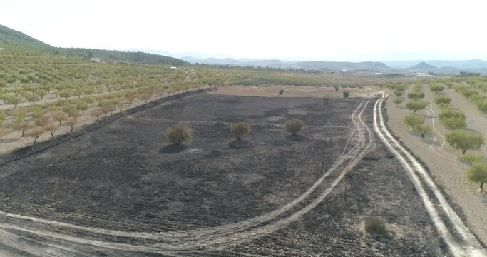 cultivo mediterr&aacute;neo quemado drone