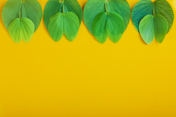 Indian Festival Dussehra , green leaf and rice