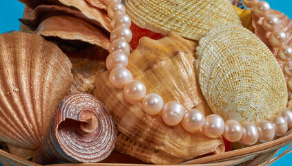 Many different shells and pearl beads in a basket on a blue background.