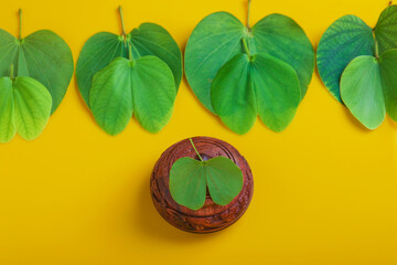 Indian Festival Dussehra , green leaf and rice