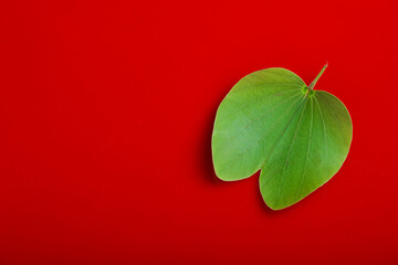 Indian Festival Dussehra , green leaf and rice