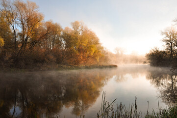 Fototapeta premium Waterfall Photography. Green Autumn Element. Orange Majestic Waterfall. Golden Summer Season. Yellow Forest Landscape. Autumn Waterfall. Majestic Mountain. Abstract Panorama.