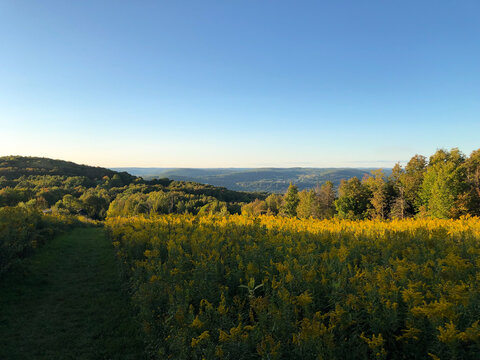 View on yellow field and hills at the  Delaware-Otsego Audubon Society Sanctuary. Upstate New York park and hiking trail