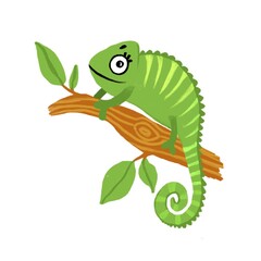 Iguana on an isolated white background. Lizard in a cartoon style. Children's digital illustration. Tropical animal, stock illustration.