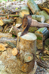 Old ax on wood log cooked before chopping. Preparation of firewood for winter