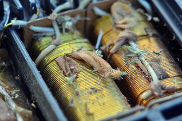 copper winding of the old transformer