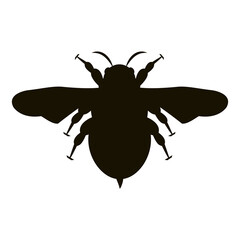 Honey bee silhouette icon. Black bee outline. Vector animal symbol. Isolated on white.