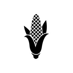 Corn vector isolated icon.
