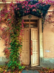 Fototapeta na wymiar Vintage entrance door in the 