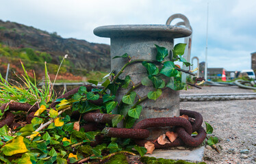 old anchor on the dock