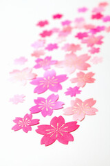 Fototapeta premium 桜和紙のテクスチャ