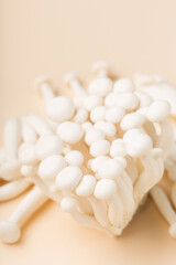 Fototapeta na wymiar White beech mushrooms or Shimeji mushroom on pastel beige paper background.