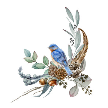 Floral forest arrangement watercolor illustration. Hand drawn elegant rustic decor with natural elements: bluebird, eucalyptus branches, feather, acorn, pine cone objects. Isolated on white background