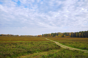 Rural autumn landscape. A country road through the field to the forest, in the heat of autumn.