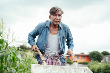 Naklejka na ściany i meble Asian elderly farmer walking with wheelbarrow cart in a field.