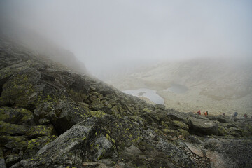View on wild nature in amazing high Tatras, Slovakia, Europe