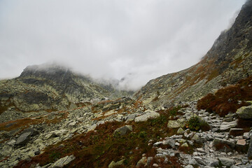 View on wild nature in amazing high Tatras, Slovakia, Europe