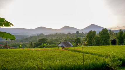 landscape in the mountains