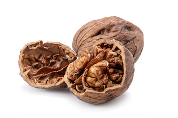 walnut