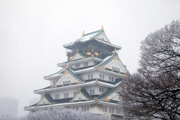 大阪城と雪