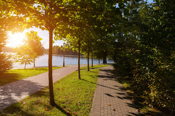Obraz premium A beautiful park with a lake, trees and walking paths at sunset or sunrise. A place for serene walks and relaxation. Healthy lifestyle.
