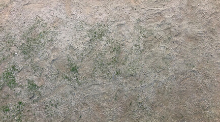 Suelo con grava y hierba