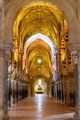 Fototapeta premium Cordoba : Cathedral Mezquita, Andalusia, Spain