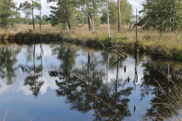 Moor landscape in the marshland Pietzmoor, located on the southern edge of the Lüneburg Heath Nature Reserve. Northern Germany, Europe.