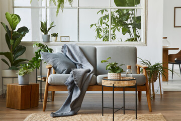 Modern scandinavian interior of living room with design grey sofa, armchair, a lot of plants,...