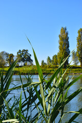 view of a countryside landscape with river and wild nature