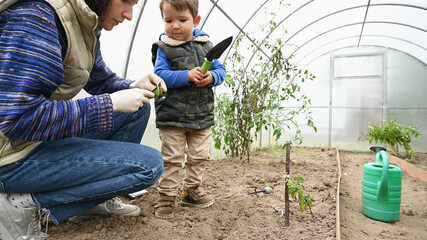 Child watering dry ground in greenhouse