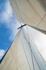 Fototapeta premium Yacht sails and blue sky with clouds