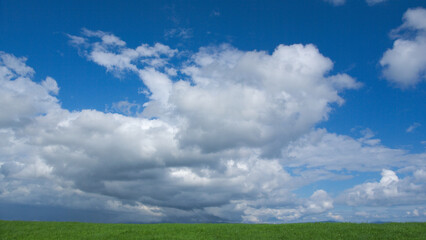 green field and blue sky
