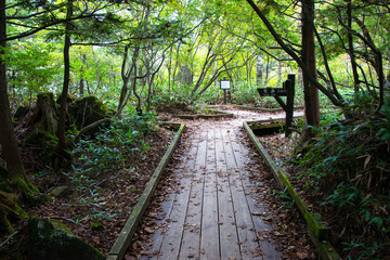 日光湯元のハイキングコース