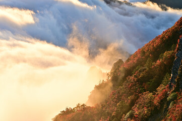 四国の名山、石鎚山の紅葉