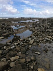 Costas rocosas en las playas cubiertas de conchas marinas. Vista panorámica de un paisaje marino