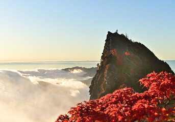 四国の名山、石鎚山の紅葉
