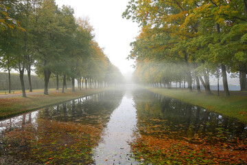 Fototapeta na wymiar Canal with rows of trees on the bank and reflections in the water on a foggy autumn morning in a public landscape park, copy space