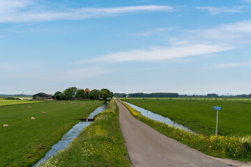 Fototapeta na wymiar Dutch landscape