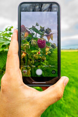 photograph whit your smart phone. garden work and upload to Instagram