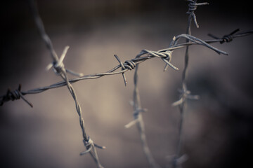Fototapeta na wymiar Barbed wire fence