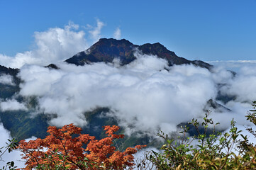 四国の名山、石鎚山の紅葉