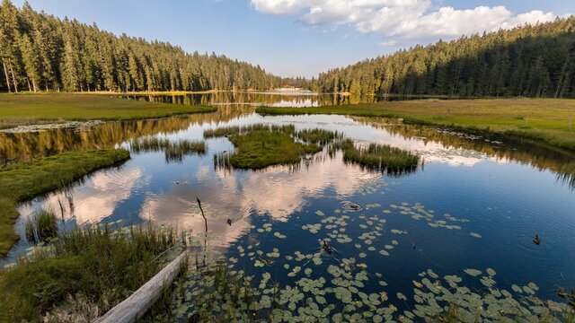 Gro&szlig;er Arbersee im Bayerischen Wald

